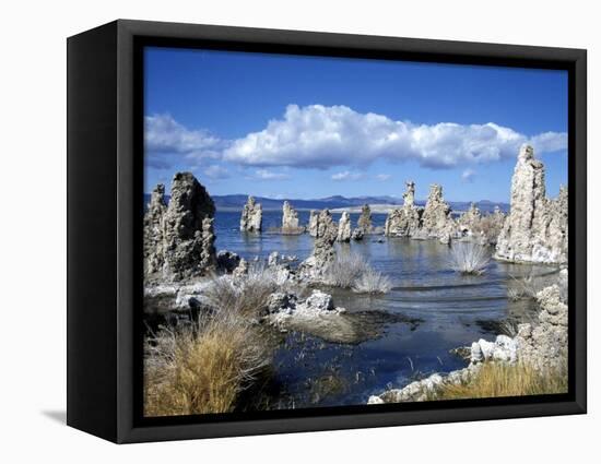 Landscape of Tufa Formations at Mono Lake, California, USA-Richard Nebesky-Framed Stretched Canvas