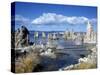 Landscape of Tufa Formations at Mono Lake, California, USA-Richard Nebesky-Stretched Canvas