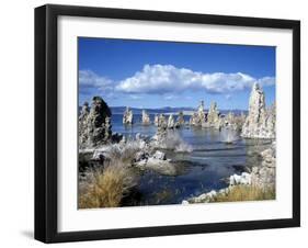 Landscape of Tufa Formations at Mono Lake, California, USA-Richard Nebesky-Framed Photographic Print