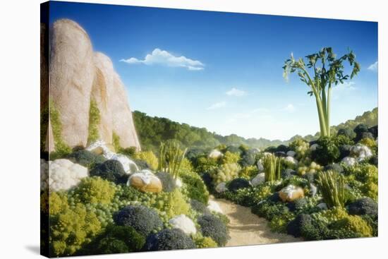 Landscape of Vegetables and Bread-Hartmut Seehuber-Stretched Canvas