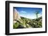 Landscape of Vegetables and Bread-Hartmut Seehuber-Framed Photographic Print