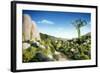 Landscape of Vegetables and Bread-Hartmut Seehuber-Framed Photographic Print