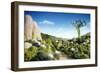 Landscape of Vegetables and Bread-Hartmut Seehuber-Framed Photographic Print