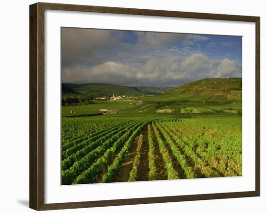 Landscape of Vineyards and Hills Near Beaune, Burgundy, France, Europe-Michael Busselle-Framed Photographic Print