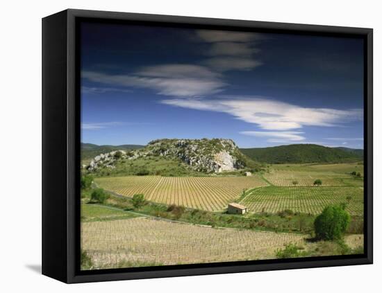 Landscape of Vineyards and Hills Near Neffies, Herault, Languedoc Roussillon, France, Europe-Michael Busselle-Framed Stretched Canvas