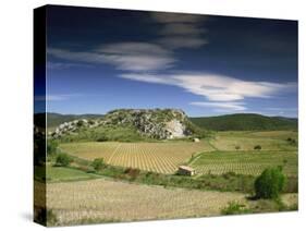Landscape of Vineyards and Hills Near Neffies, Herault, Languedoc Roussillon, France, Europe-Michael Busselle-Stretched Canvas