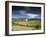 Landscape of Vineyards and Hills Near Neffies, Herault, Languedoc Roussillon, France, Europe-Michael Busselle-Framed Photographic Print