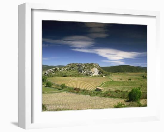 Landscape of Vineyards and Hills Near Neffies, Herault, Languedoc Roussillon, France, Europe-Michael Busselle-Framed Photographic Print