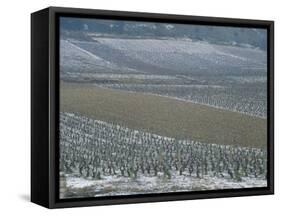 Landscape of Vineyards in Winter with Snow Near Pommard, in Burgundy, France, Europe-Michael Busselle-Framed Stretched Canvas