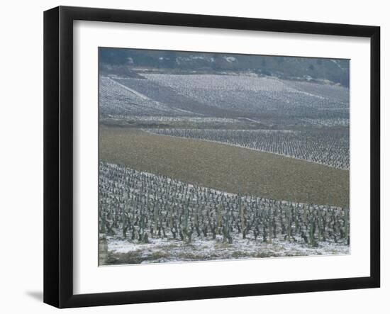 Landscape of Vineyards in Winter with Snow Near Pommard, in Burgundy, France, Europe-Michael Busselle-Framed Photographic Print