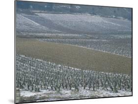 Landscape of Vineyards in Winter with Snow Near Pommard, in Burgundy, France, Europe-Michael Busselle-Mounted Photographic Print