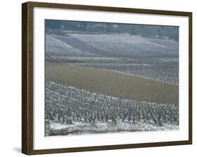 Landscape of Vineyards in Winter with Snow Near Pommard, in Burgundy, France, Europe-Michael Busselle-Framed Photographic Print