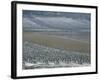 Landscape of Vineyards in Winter with Snow Near Pommard, in Burgundy, France, Europe-Michael Busselle-Framed Photographic Print