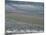 Landscape of Vineyards in Winter with Snow Near Pommard, in Burgundy, France, Europe-Michael Busselle-Mounted Photographic Print