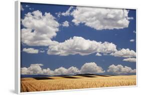 Landscape of Wheat Fields in Western Part of State, Colorado, USA-Jaynes Gallery-Framed Photographic Print