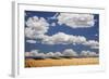 Landscape of Wheat Fields in Western Part of State, Colorado, USA-Jaynes Gallery-Framed Photographic Print