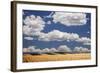 Landscape of Wheat Fields in Western Part of State, Colorado, USA-Jaynes Gallery-Framed Photographic Print