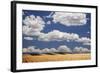 Landscape of Wheat Fields in Western Part of State, Colorado, USA-Jaynes Gallery-Framed Photographic Print