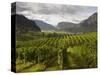 Landscape of Winery-Benjamin Rondel-Stretched Canvas