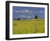 Landscape of Yellow Flowers of Mustard Crop the Himalayas in the Background, Kathmandu, Nepal-Alison Wright-Framed Photographic Print