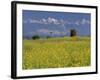 Landscape of Yellow Flowers of Mustard Crop the Himalayas in the Background, Kathmandu, Nepal-Alison Wright-Framed Photographic Print