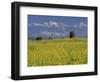 Landscape of Yellow Flowers of Mustard Crop the Himalayas in the Background, Kathmandu, Nepal-Alison Wright-Framed Photographic Print