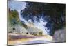 Landscape, Olive Trees, Corfu, 1909-John Singer Sargent-Mounted Giclee Print