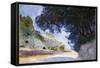 Landscape, Olive Trees, Corfu, 1909-John Singer Sargent-Framed Stretched Canvas