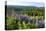 Landscape on Lake Schluchsee, Southern Black Forest, Baden-Wuerttemberg, Germany-null-Stretched Canvas