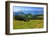 Landscape on Rigi-Kulm with View of Lake Lucerne and the Urner Alps, Canton of Lucerne, Switzerland-null-Framed Art Print