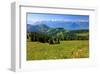 Landscape on Rigi-Kulm with View of Lake Lucerne and the Urner Alps, Canton of Lucerne, Switzerland-null-Framed Art Print