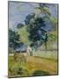 Landscape on Tahiti, 1899-Paul Gauguin-Mounted Premium Giclee Print