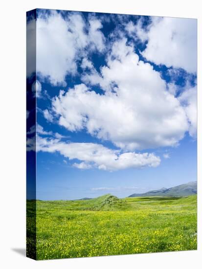 Landscape on the Island of South Uist, Uibhist a Deas. Scotland-Martin Zwick-Stretched Canvas