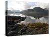Landscape on the Isle of Mull, Inner Hebrides, Scotland, United Kingdom, Europe-Mark Harding-Stretched Canvas
