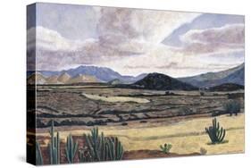 Landscape on the Way to Teotitlan, 1999-Pedro Diego Alvarado-Stretched Canvas