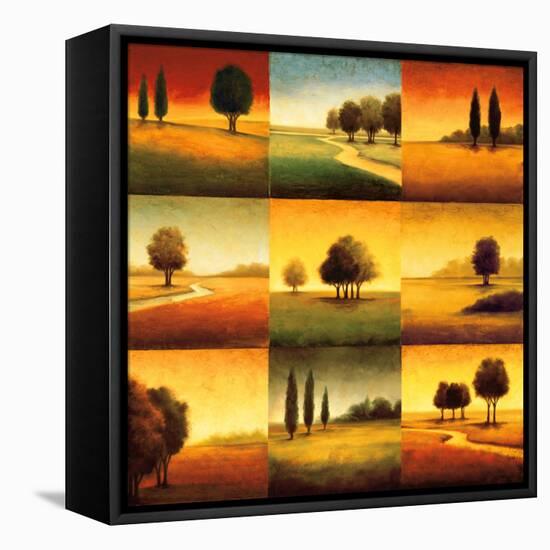 Landscape Perspectives-Gregory Williams-Framed Stretched Canvas