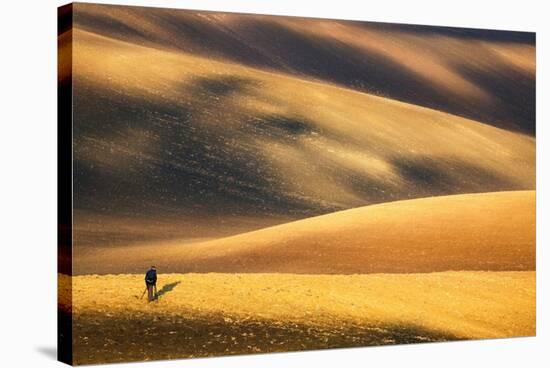 Landscape Photographer...-Krzysztof Browko-Stretched Canvas