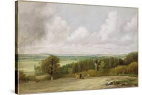Landscape: Ploughing Scene in Suffolk (A Summerland) c.1824-John Constable-Stretched Canvas