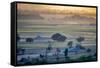 Landscape,  Rajasthan, India-Art Wolfe Wolfe-Framed Stretched Canvas