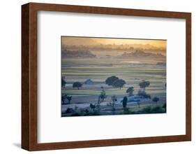Landscape,  Rajasthan, India-Art Wolfe Wolfe-Framed Photographic Print