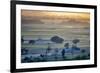 Landscape,  Rajasthan, India-Art Wolfe Wolfe-Framed Photographic Print