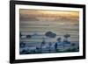 Landscape,  Rajasthan, India-Art Wolfe Wolfe-Framed Photographic Print