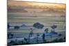 Landscape,  Rajasthan, India-Art Wolfe Wolfe-Mounted Photographic Print