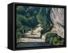 Landscape. Road with Trees in Rocky Mountains-Paul Cézanne-Framed Stretched Canvas