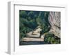 Landscape. Road with Trees in Rocky Mountains-Paul Cézanne-Framed Giclee Print