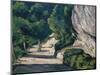Landscape. Road with Trees in Rocky Mountains-Paul Cézanne-Mounted Giclee Print