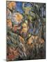Landscape Rocks Above the Caves at Château Noir-Paul Cézanne-Mounted Giclee Print