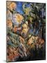 Landscape Rocks Above the Caves at Chateau Noir-Paul Cézanne-Mounted Art Print