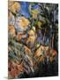 Landscape Rocks Above the Caves at Chateau Noir-Paul Cézanne-Mounted Art Print