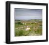 Landscape: Shinnecock, Long Island, ca. 1896-William Merritt Chase-Framed Art Print